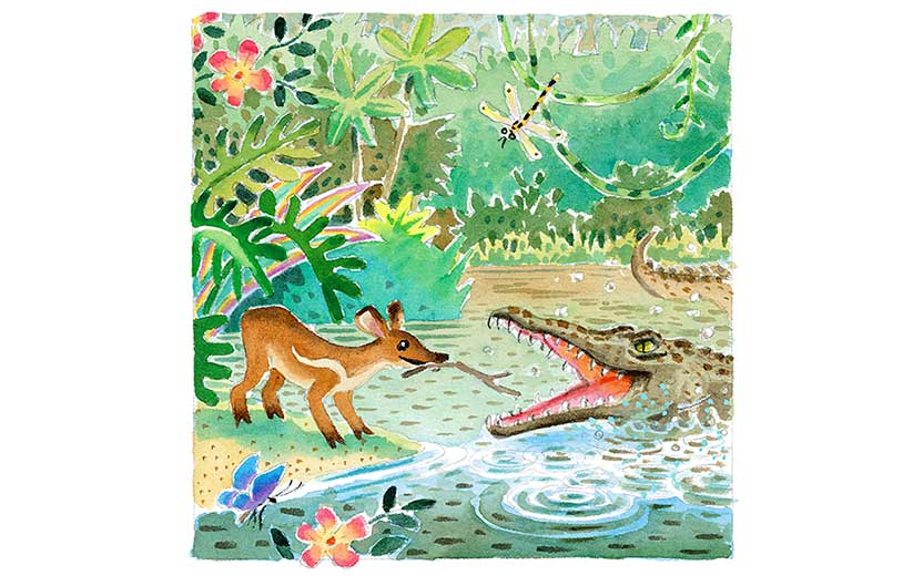 Book illustration