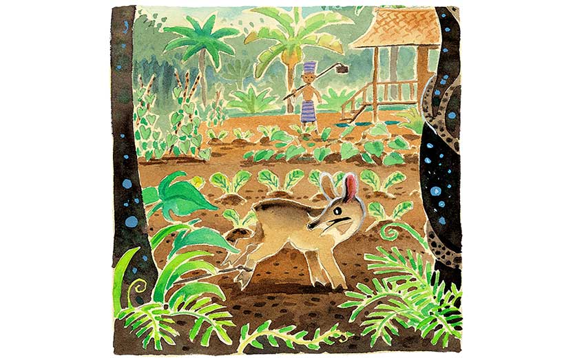 Book illustration